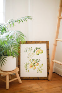 Pear Study original painting