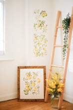 Load image into Gallery viewer, Pear &amp; Lemon Medley original painting
