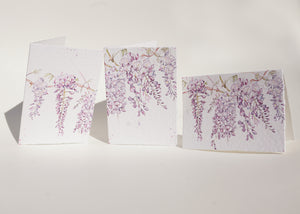 Whimsical Wisteria collection