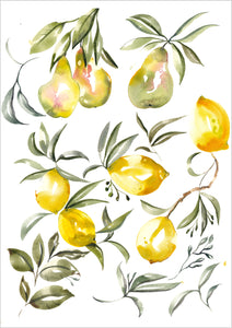 Pear & Lemon Medley original painting